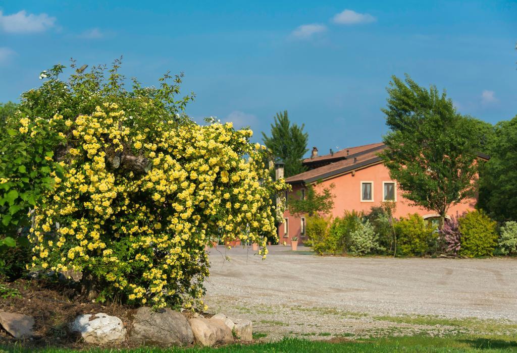 Agriturismo Corte Morandini Valeggio sul Mincio Exterior foto